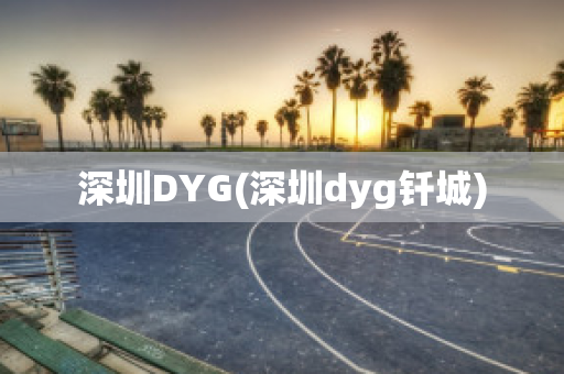 深圳DYG(深圳dyg钎城)