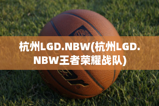 杭州LGD.NBW(杭州LGD.NBW王者荣耀战队)