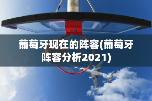 葡萄牙现在的阵容(葡萄牙阵容分析2021)