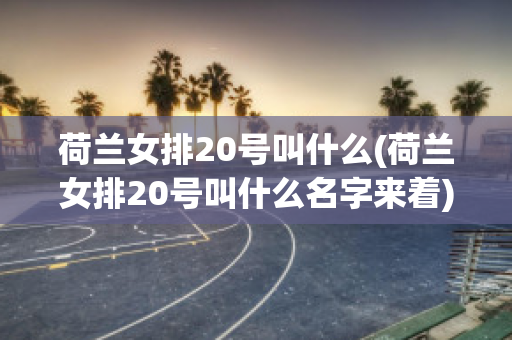 荷兰女排20号叫什么(荷兰女排20号叫什么名字来着)