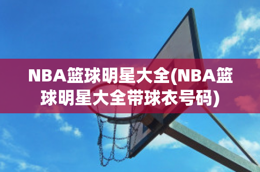 NBA篮球明星大全(NBA篮球明星大全带球衣号码)