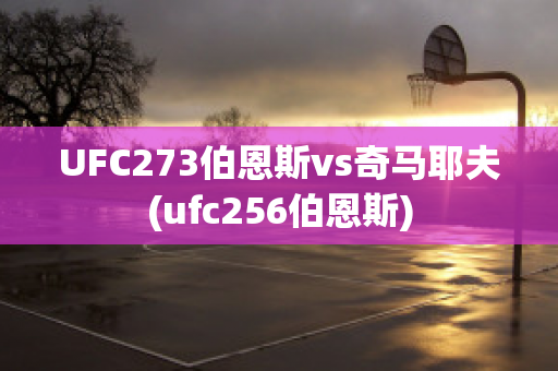 UFC273伯恩斯vs奇马耶夫(ufc256伯恩斯)