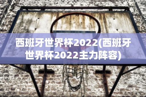 西班牙世界杯2022(西班牙世界杯2022主力阵容)