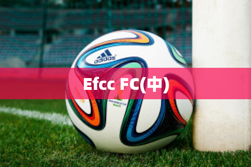 Efcc FC(中)