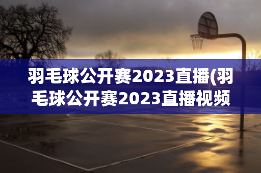 羽毛球公开赛2023直播(羽毛球公开赛2023直播视频)