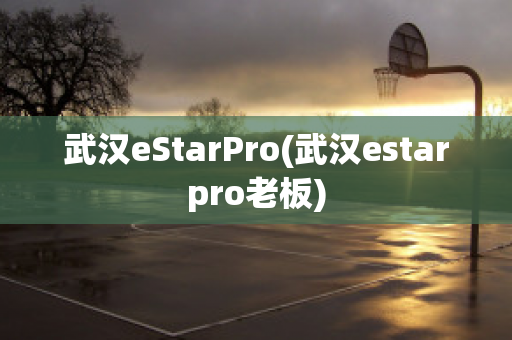 武汉eStarPro(武汉estarpro老板)