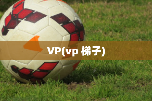 VP(vp 梯子)