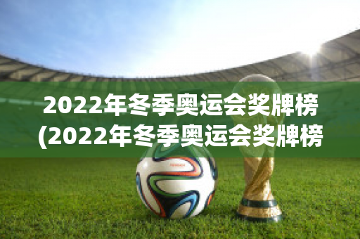 2022年冬季奥运会奖牌榜(2022年冬季奥运会奖牌榜前5名国家的获奖情况)