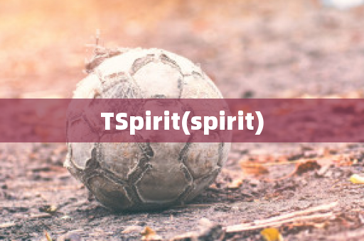 TSpirit(spirit)