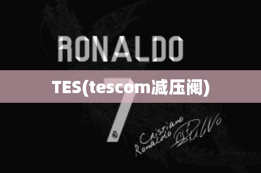 TES(tescom减压阀)