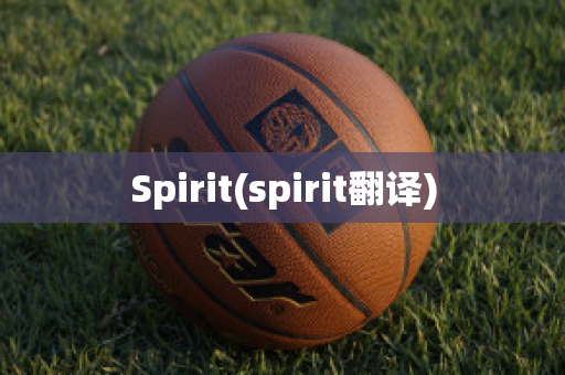 Spirit(spirit翻译)