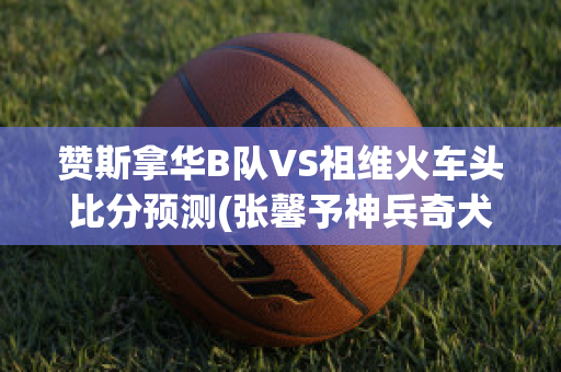 赞斯拿华B队VS祖维火车头比分预测(张馨予神兵奇犬剪头发视频)