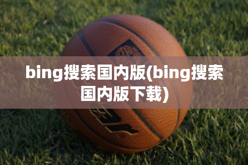 bing搜索国内版(bing搜索国内版下载)