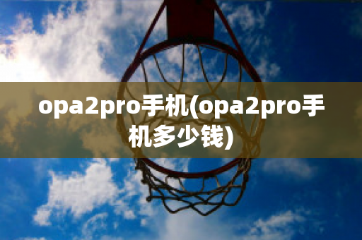 opa2pro手机(opa2pro手机多少钱)