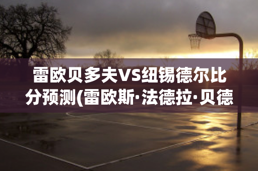 雷欧贝多夫VS纽锡德尔比分预测(雷欧斯·法德拉·贝德利欧)