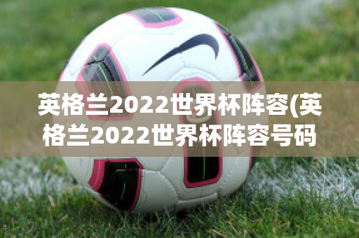 英格兰2022世界杯阵容(英格兰2022世界杯阵容号码)