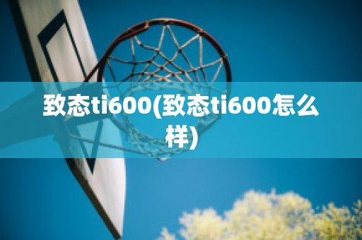 致态ti600(致态ti600怎么样)