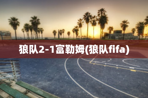 狼队2-1富勒姆(狼队fifa)