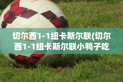 切尔西1-1纽卡斯尔联(切尔西1-1纽卡斯尔联小鸭子吃什么)