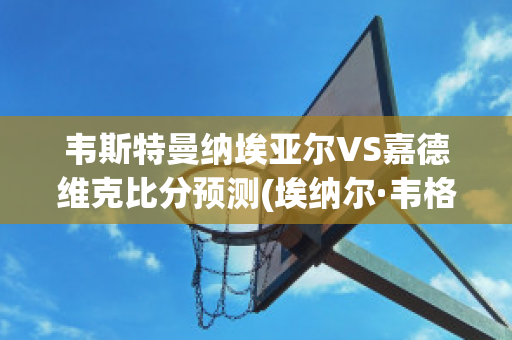 韦斯特曼纳埃亚尔VS嘉德维克比分预测(埃纳尔·韦格纳)