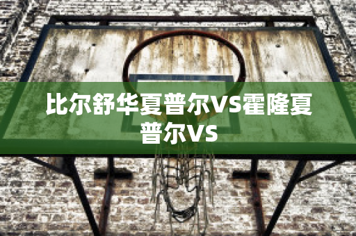 比尔舒华夏普尔VS霍隆夏普尔VS