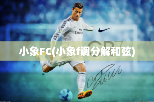 小象FC(小象f调分解和弦)