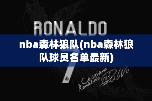 nba森林狼队(nba森林狼队球员名单最新)