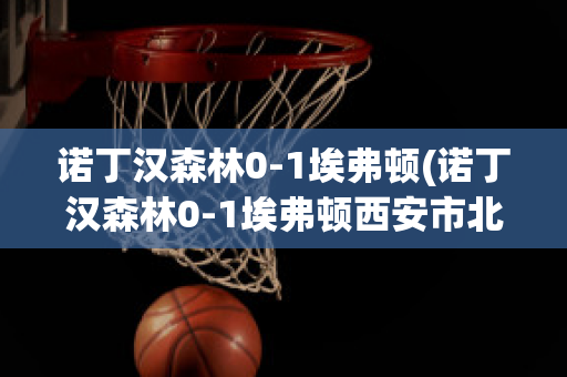 诺丁汉森林0-1埃弗顿(诺丁汉森林0-1埃弗顿西安市北郊保安招聘)