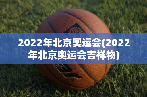 2022年北京奥运会(2022年北京奥运会吉祥物)