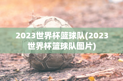 2023世界杯篮球队(2023世界杯篮球队图片)