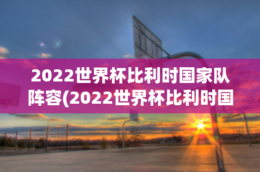 2022世界杯比利时国家队阵容(2022世界杯比利时国家队阵容介绍)