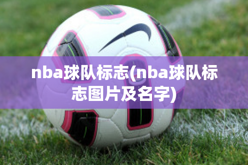 nba球队标志(nba球队标志图片及名字)