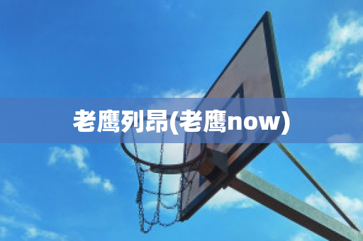 老鹰列昂(老鹰now)