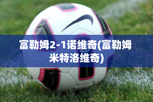 富勒姆2-1诺维奇(富勒姆 米特洛维奇)