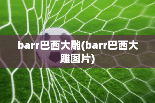 barr巴西大雕(barr巴西大雕图片)