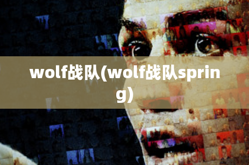 wolf战队(wolf战队spring)