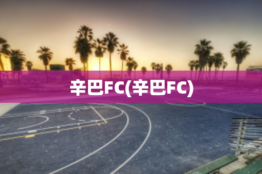 辛巴FC(辛巴FC)