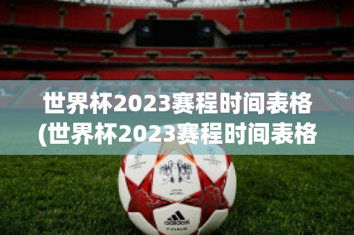 世界杯2023赛程时间表格(世界杯2023赛程时间表格跳水)