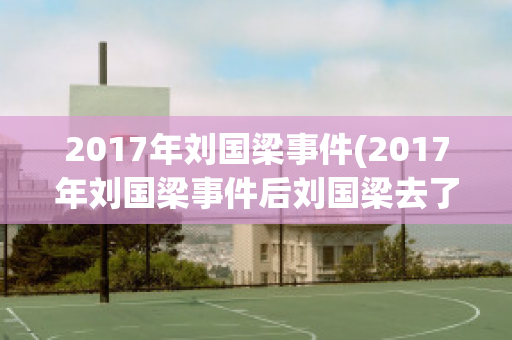 2017年刘国梁事件(2017年刘国梁事件后刘国梁去了日本)