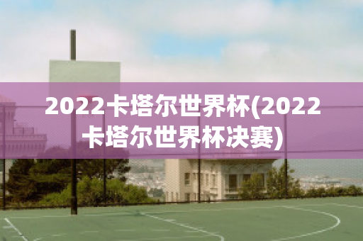 2022卡塔尔世界杯(2022卡塔尔世界杯决赛)