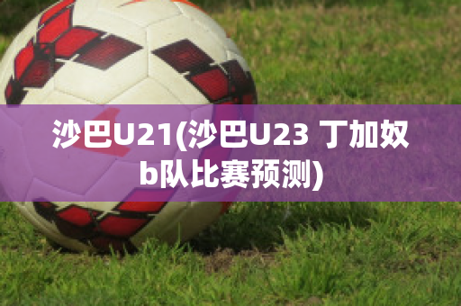 沙巴U21(沙巴U23 丁加奴b队比赛预测)