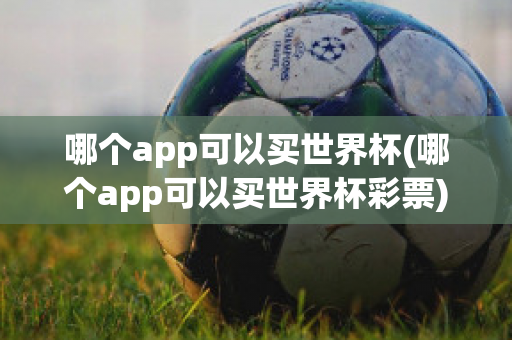 哪个app可以买世界杯(哪个app可以买世界杯彩票)