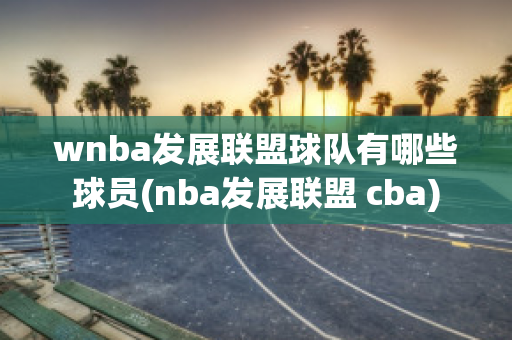 wnba发展联盟球队有哪些球员(nba发展联盟 cba)