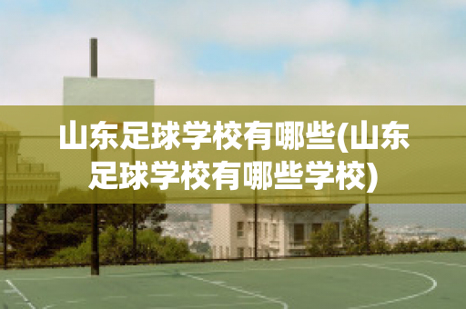 山东足球学校有哪些(山东足球学校有哪些学校)