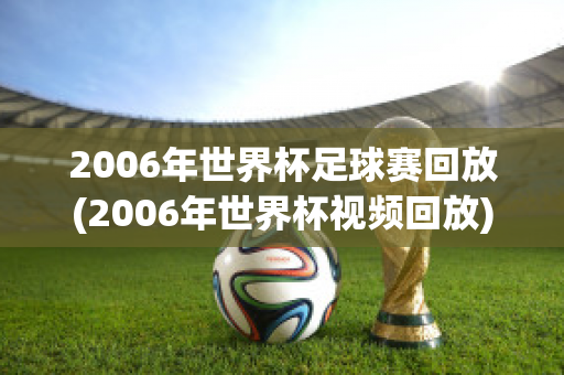 2006年世界杯足球赛回放(2006年世界杯视频回放)