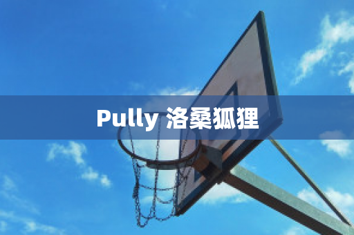 Pully 洛桑狐狸