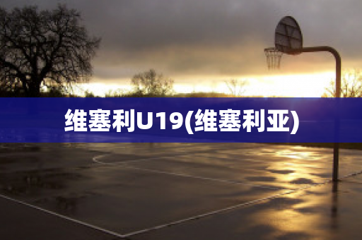 维塞利U19(维塞利亚)