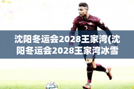 沈阳冬运会2028王家湾(沈阳冬运会2028王家湾冰雪中心方案中标)