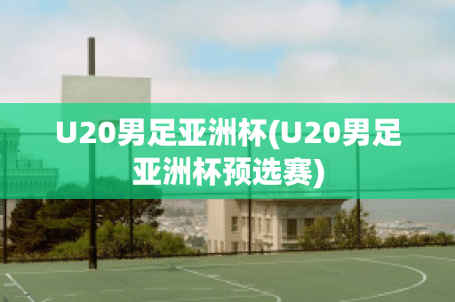 U20男足亚洲杯(U20男足亚洲杯预选赛)