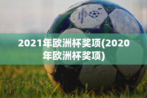 2021年欧洲杯奖项(2020年欧洲杯奖项)